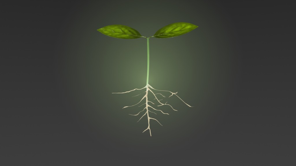 Görsel öğe: Minimalizm