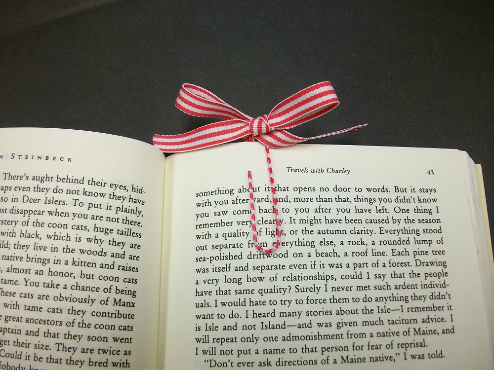 paper-clip-as-a-bookmark