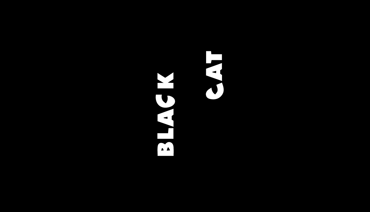Black Cat firmasının logosu
