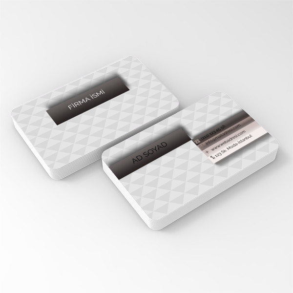 Kurumsal Kartvizit 2