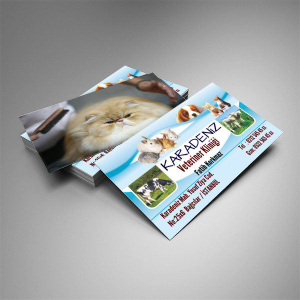 Veteriner Kartvizit Tasarımı