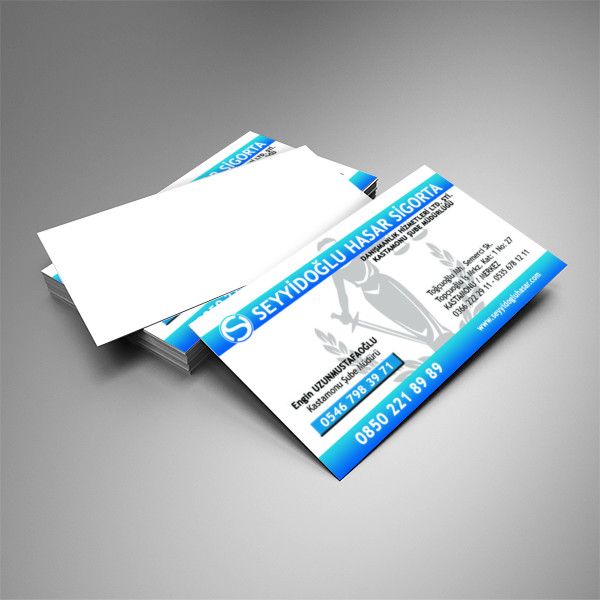 SIFIRDAN SEYYİDOĞLU HASAR KASTAMONU ŞUBESİ KARTVİZİT ÇALIŞMALARI