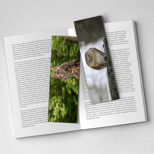 Baykuş Desenli Kitap Ayracı