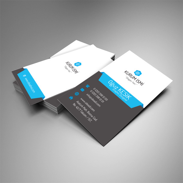 Dikey Mavi Desenli Tual Kartvizit