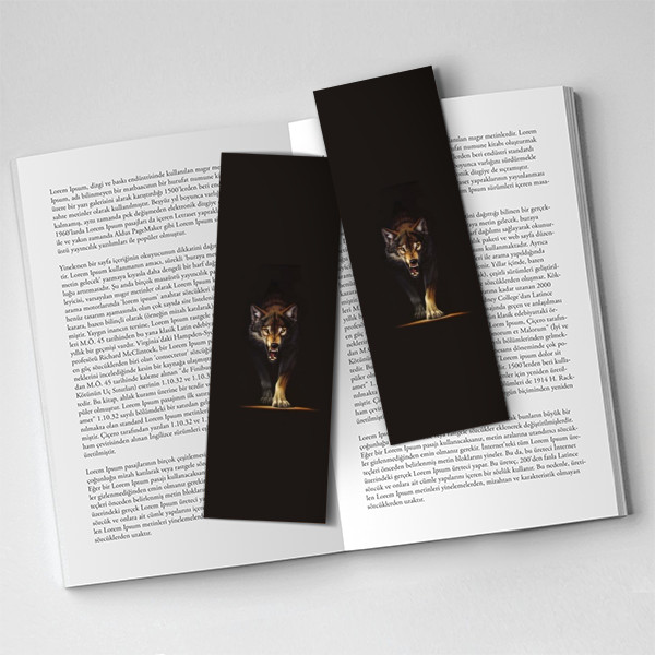 Bozkurt Kitap Ayıracı