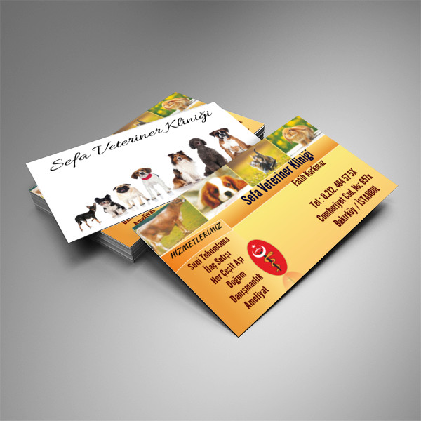 Veteriner Kartvizit Tasarımı