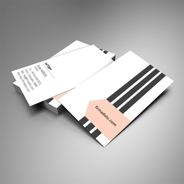 Kurumsal Kartvizit 9