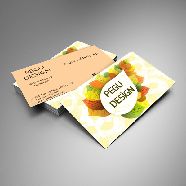 EN POPÜLER KARTVİZİT 