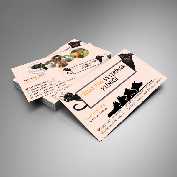 Veteriner Kartvizit 3